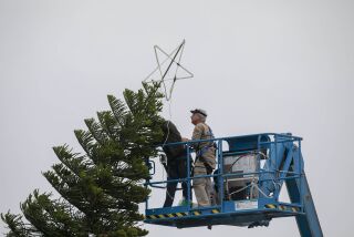 Ken Moss, right, and another volunteer with the Ocean Beach Town Council installed the star atop this years Ocean Beach Christmas tree at the foot of Newport Avenue on Tuesday, Decemrber 3, 2019.