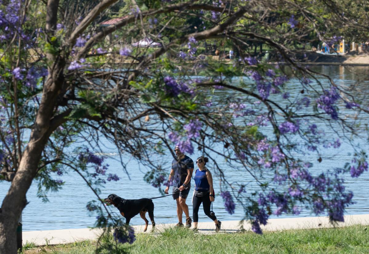 Visitors stroll around Lake Balboa.