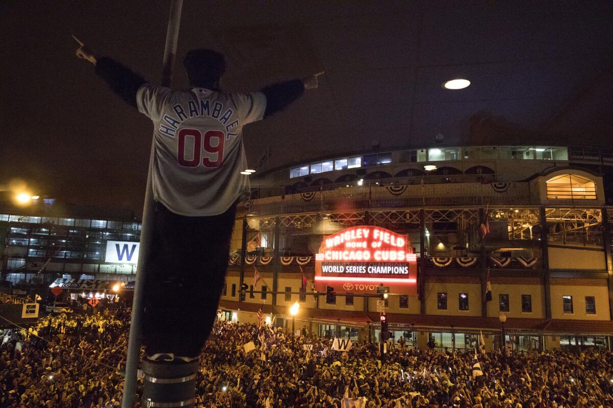 VIDEO, Cubs fans celebrate historic World Series win