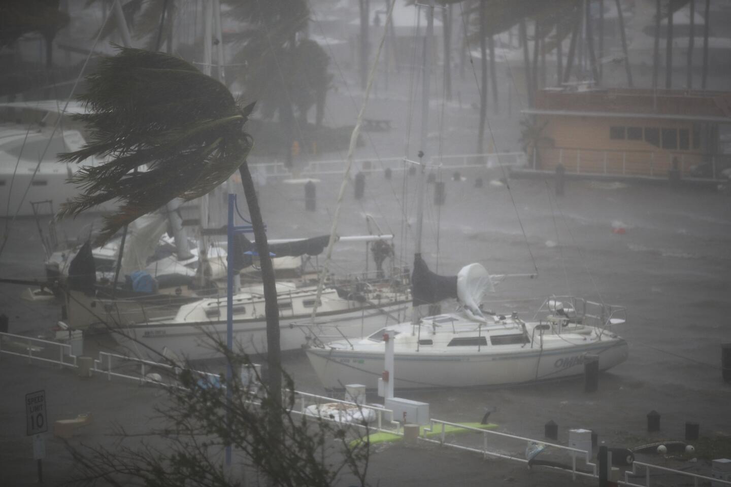 Boats ride out Hurricane Irma in a marina on Sept. 10, 2017, in Miami.
