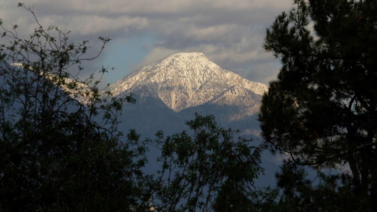 Authorities said an off-duty deputy shot at a bear outside his San Gabriel Mountains home near La Verne.