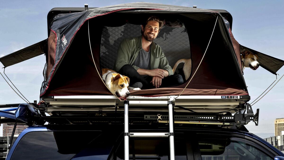 Chris McNally and Bowie and Charlie in their collapsible tent.