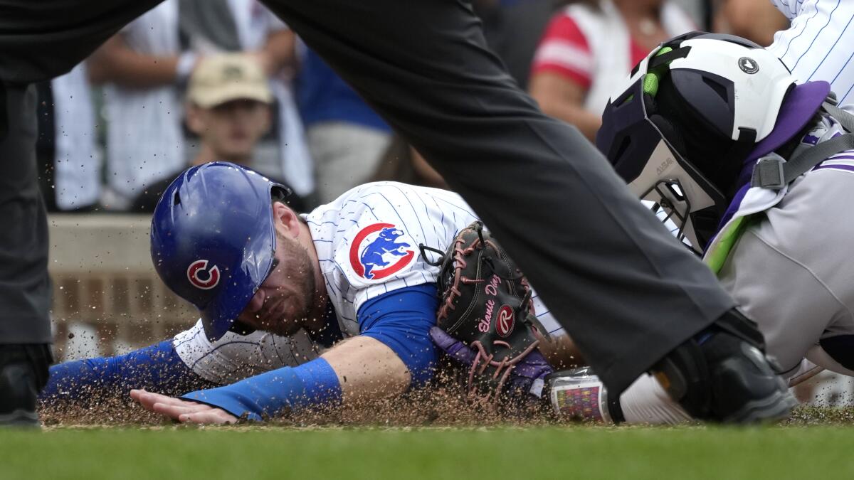 HD wallpaper: cubs, world series, Kris Bryant, happiness, crowd, sport,  stadium