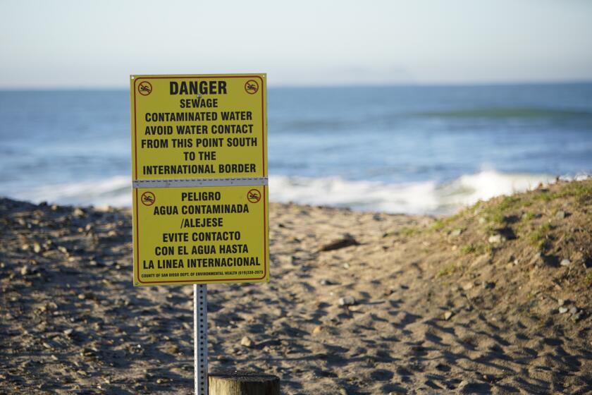 Imperial Beach, California, USA January 10th, 2019 | Contaminated water signs posted along the souther part of the beach. Imperial Beach prepares for the King Tide along the San Diego coastline. | (Alejandro Tamayo, The San Diego Union Tribune 2019)