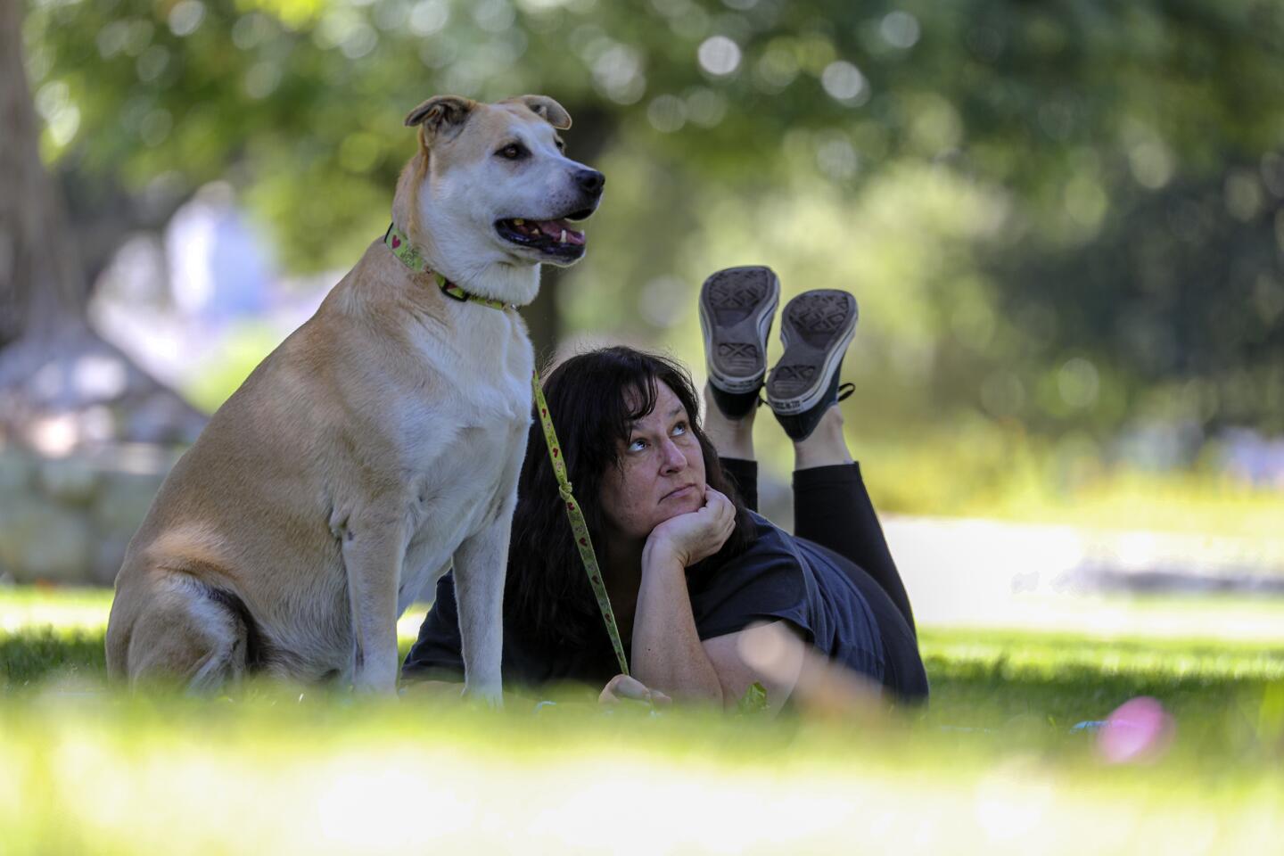Lisa Lungstrum relaxes with her dog, Dara, in the shade of a tree on a hot Tuesday in Memorial Park, Claremont.