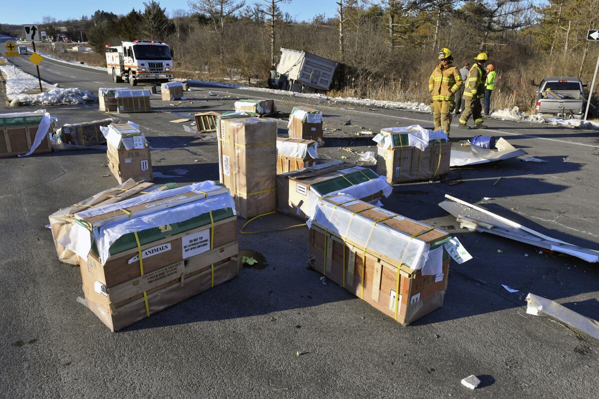 Enclosed wooden crates are scattered across the westbound lanes of state Route 54 near Danville, Pa.