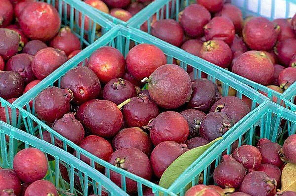 Strawberry guavas grown by Mud Creek Ranch in Santa Paula, on sale at the Santa Monica farmers market.