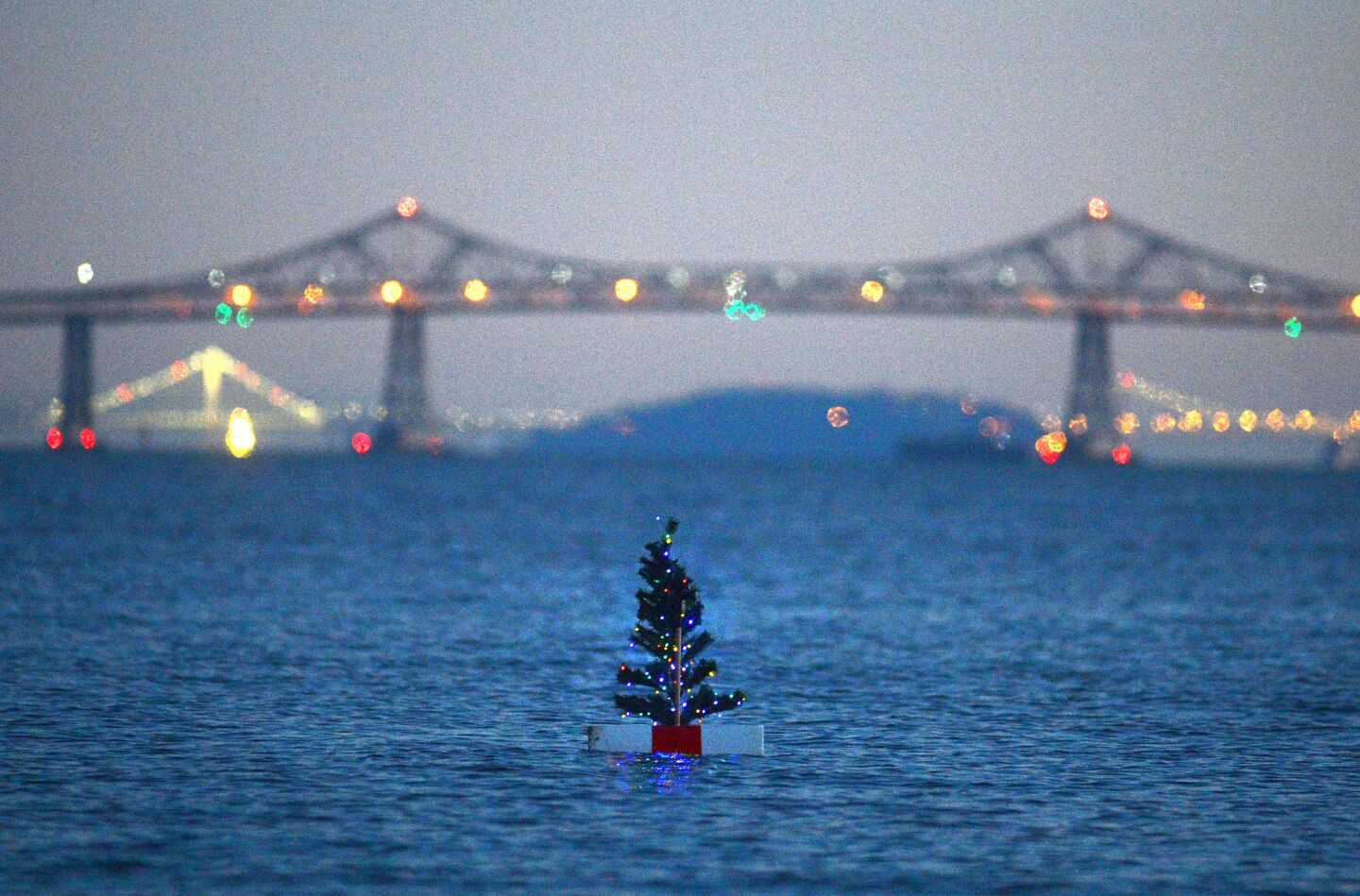 This Christmas tree is a bit of a mystery. It just showed up one day, bobbing on a raft on San Pablo Bay, a colorful backdrop provided by the Richmond-San Rafael Bridge. It's provided many smiles and photo ops for passersby, helping them get into the holiday spirit. But many in the area still wonder: Whodunnit?