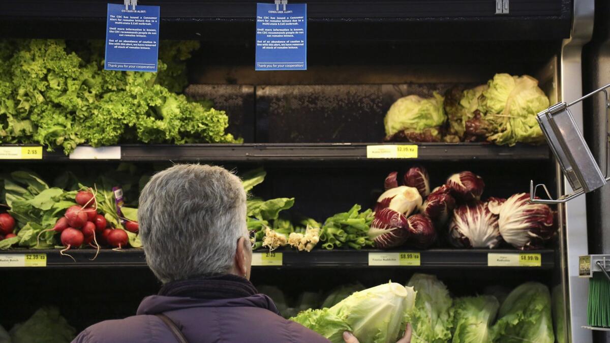 Green lettuce on the vegetable shelves at the East End Food Co-op Federal Credit Union in Pittsburgh. Health officials on Monday said it's OK to eat some romaine lettuce again.