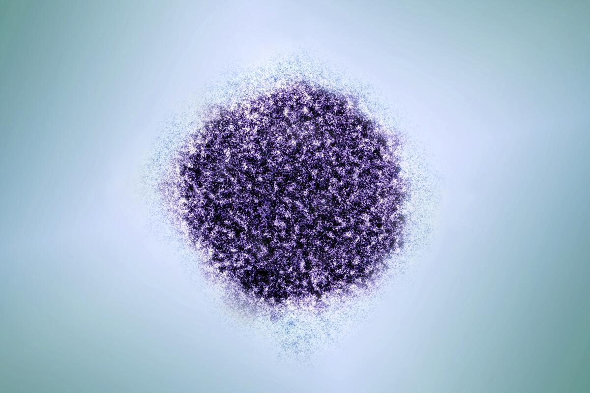 This colorized electron microscope image provided by The Rockefeller University and NIAID shows a hepatitis C virion. New U.S. hepatitis C infections dropped slightly in 2022, a surprising improvement after more than a decade of steady increases, federal health officials said Wednesday, April 3, 2024. (Maria Teresa Catanese, Charles M. Rice/The Rockefeller University, NIAID via AP)