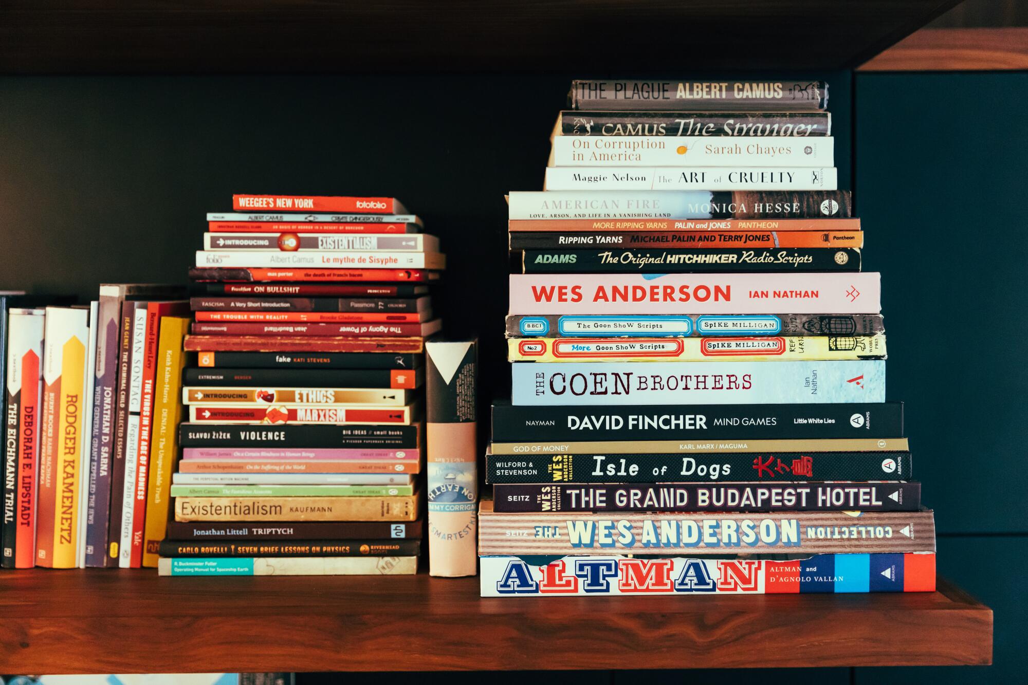 Books with titles like "Existentialism," "Marxism" and "Wes Anderson" stacked on a bookshelf.