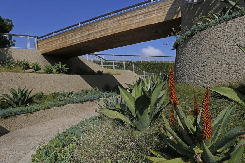 Native and drought-tolerant plants complement the clean lines of bridges and pathways in Tongva Park. The landscape design is by James Corner Field Operations, based in New York City, which also designed Manhattan's High Line park.