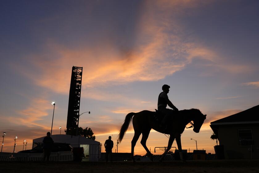 A horse comes off the track after an early-morning workout at Churchill Downs Monday, April 29, 2024, in Louisville, Ky. The 150th running of the Kentucky Derby is scheduled for Saturday, May 4. (AP Photo/Charlie Riedel)