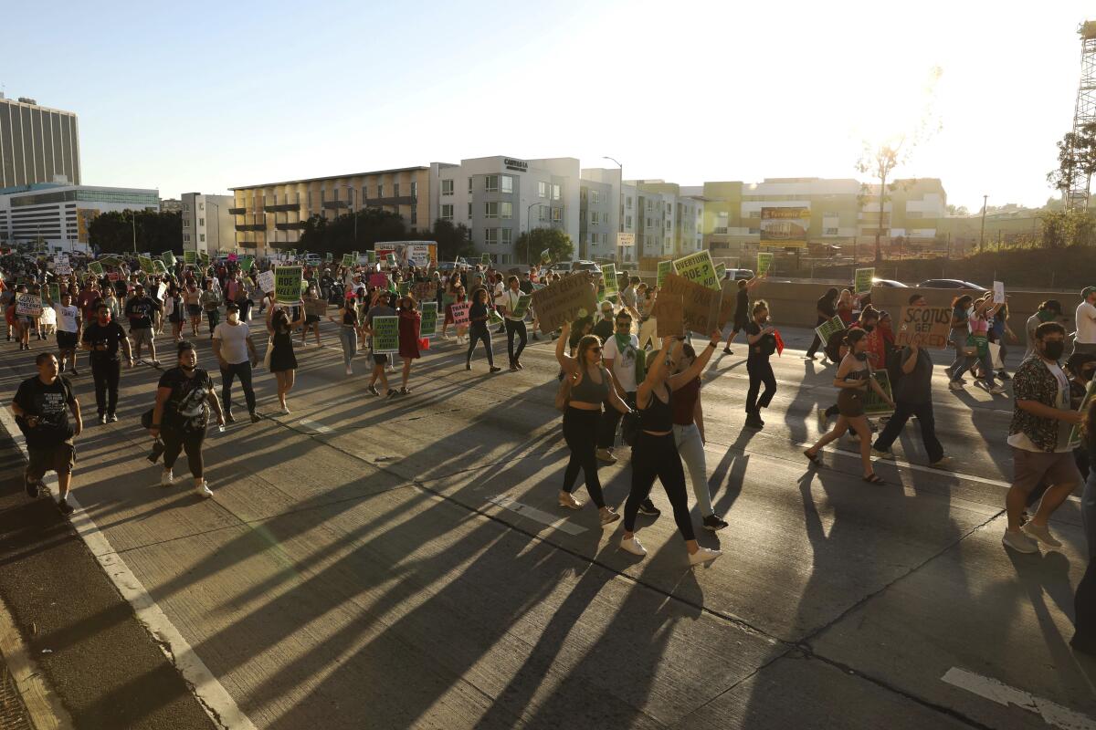 Crowds of people carrying protest signs walk on a freeway