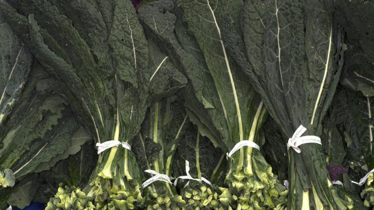 Bunches of Tuscan kale at the farmers market.