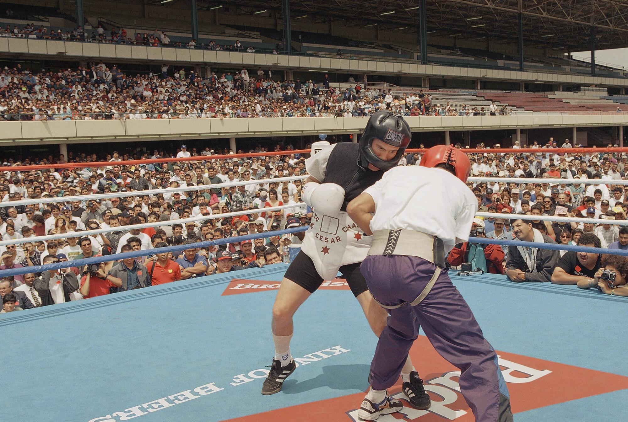 Por qué todos los boxeadores entrenan sombras? Los sorprendentes