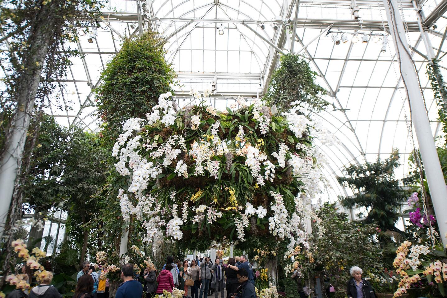 "The Orchid Show: Chandeliers" at New York Botanical Garden on April 5, 2015, in the Bronx borough of New York City.