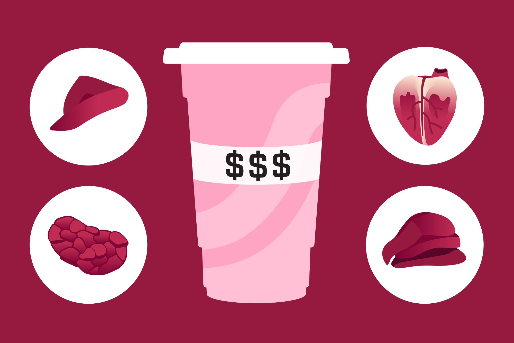 Illustration of a smoothie surrounded by a beef heart, liver, pancreas and kidney