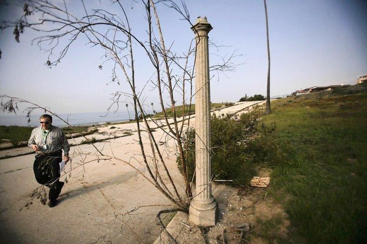 LAX Environmental Manager Robert Freeman walks on an abandoned street past a bush growing from a streetlight in the former Surfridge neighborhood.