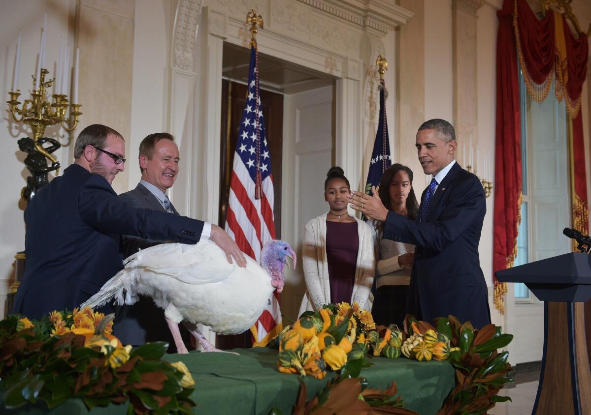 President Obama pardons Cheese, the National Thanksgiving Turkey, during the annual ceremony in the Grand Foyer of the White House on Nov. 26.