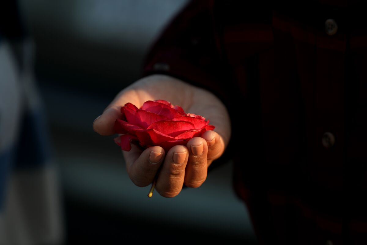 Sonia Bravo, 34, holds a flower given to her by her son Joseph Bravo, 7.