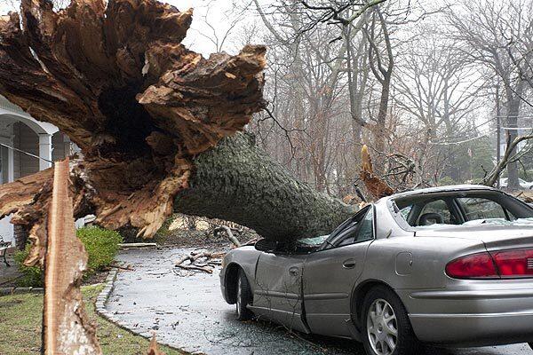 A tree uprooted by a heavy rainstorm smashes a car in Wantagh, in Long Island, N.Y. Strong winds and heavy rain wreaked havoc throughout New Jersey, Pennsylvania, New York and Connecticut, leaving thousands of people without power. Full story