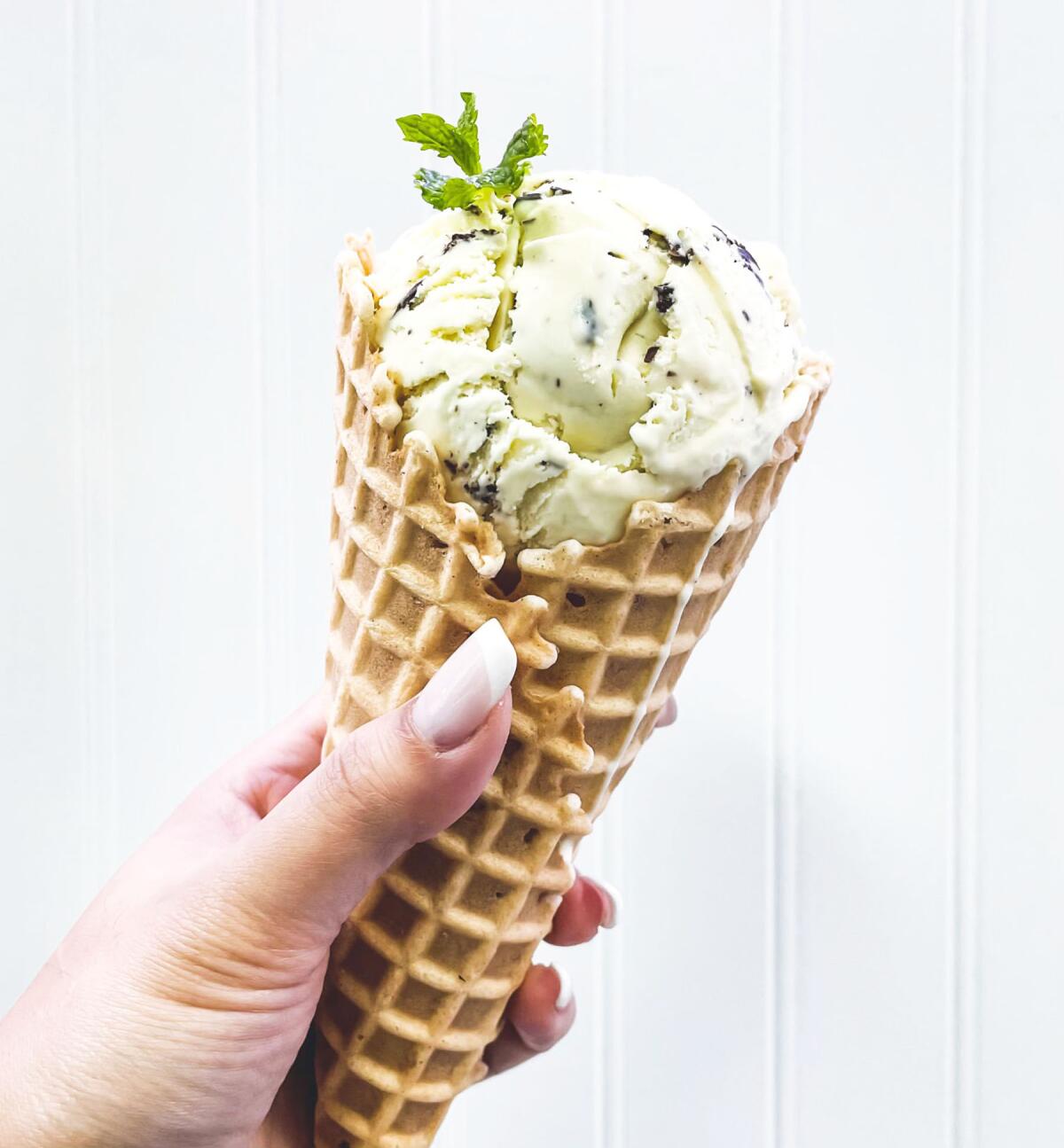 A wide assortment of flavors are available at the Pacific Beach Ice Cream Co.