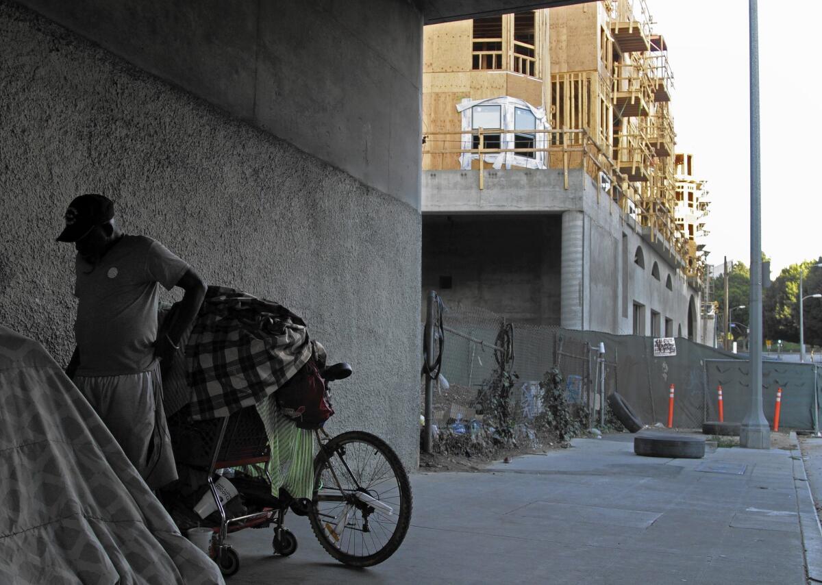 About a dozen people have been living underneath a 110 Freeway overpass above Temple Street.