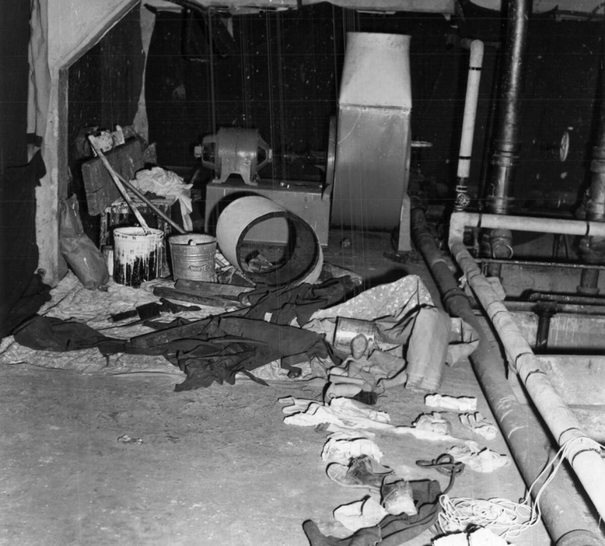 New evidence emerges that infamous Alcatraz inmates survived treacherous escape – New York Daily News