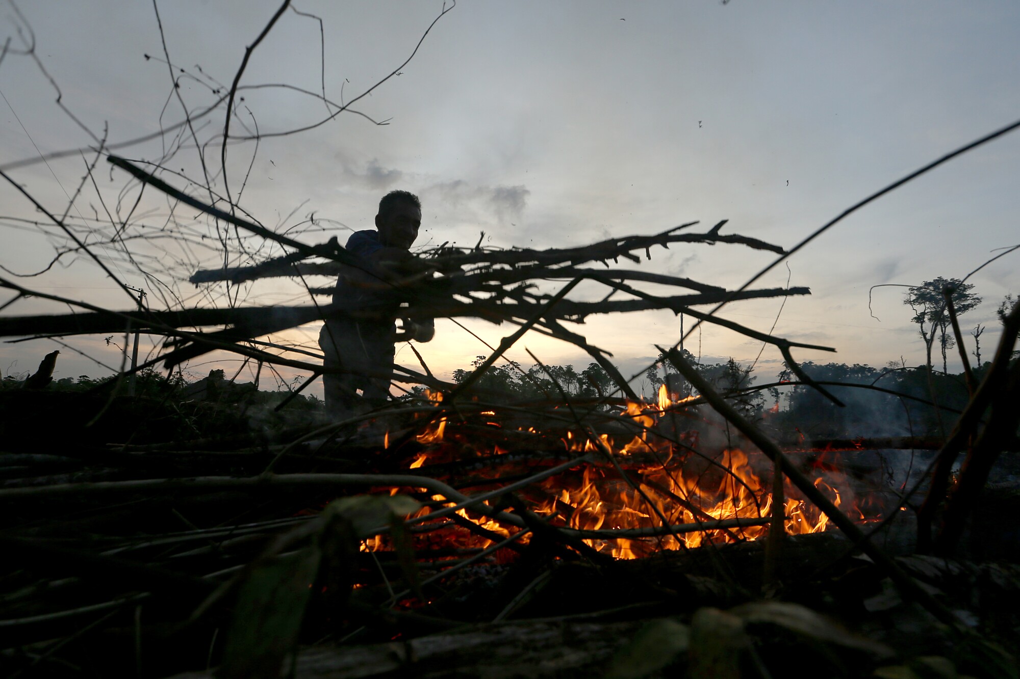 A person burns branches in a jungle.