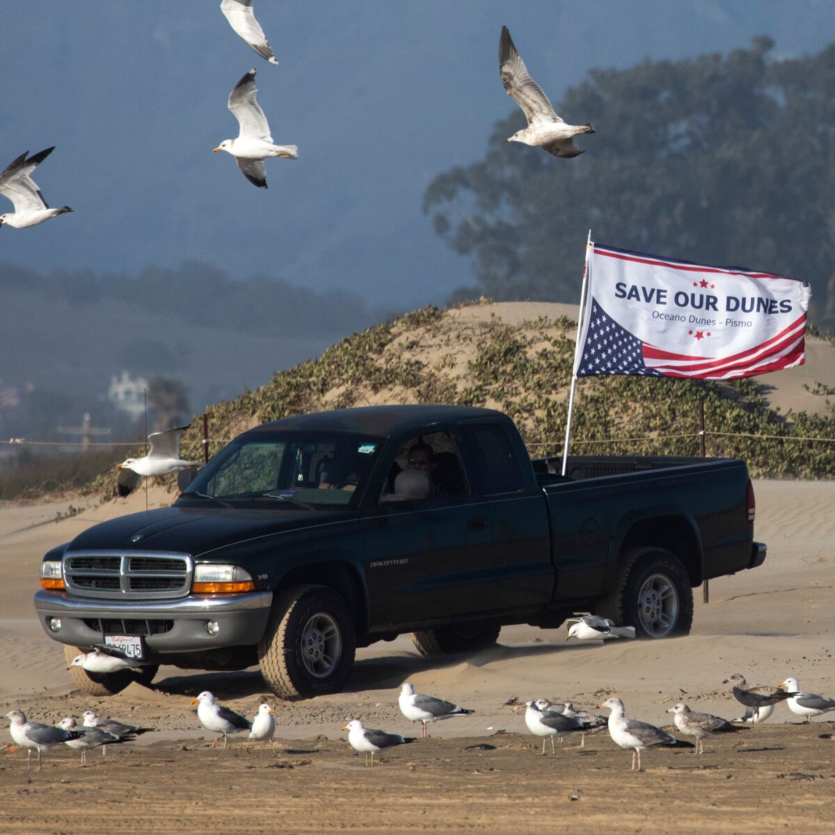 A pickup truck flies a banner saying "Save our dunes"