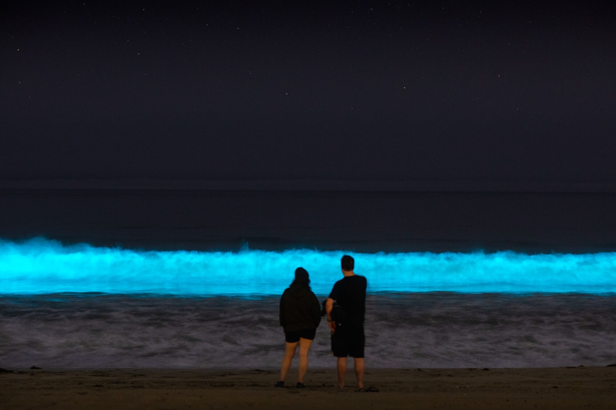 HERMOSA BEACH, CA - APRIL 25: Bioluminescent waves glow off the coast of Hermosa Beach, CA, Saturday, April 25, 2020. The phenomenon is associated with a red tide, or an algae bloom, filled with dinoflagellates which react with bioluminescence when jostled by the moving water. During the daytime, due to the pigmentation of the dinoflagellates, the water can turn a deep red, brown, or orange color, giving red tides their name.(Jay L. Clendenin / Los Angeles Times)