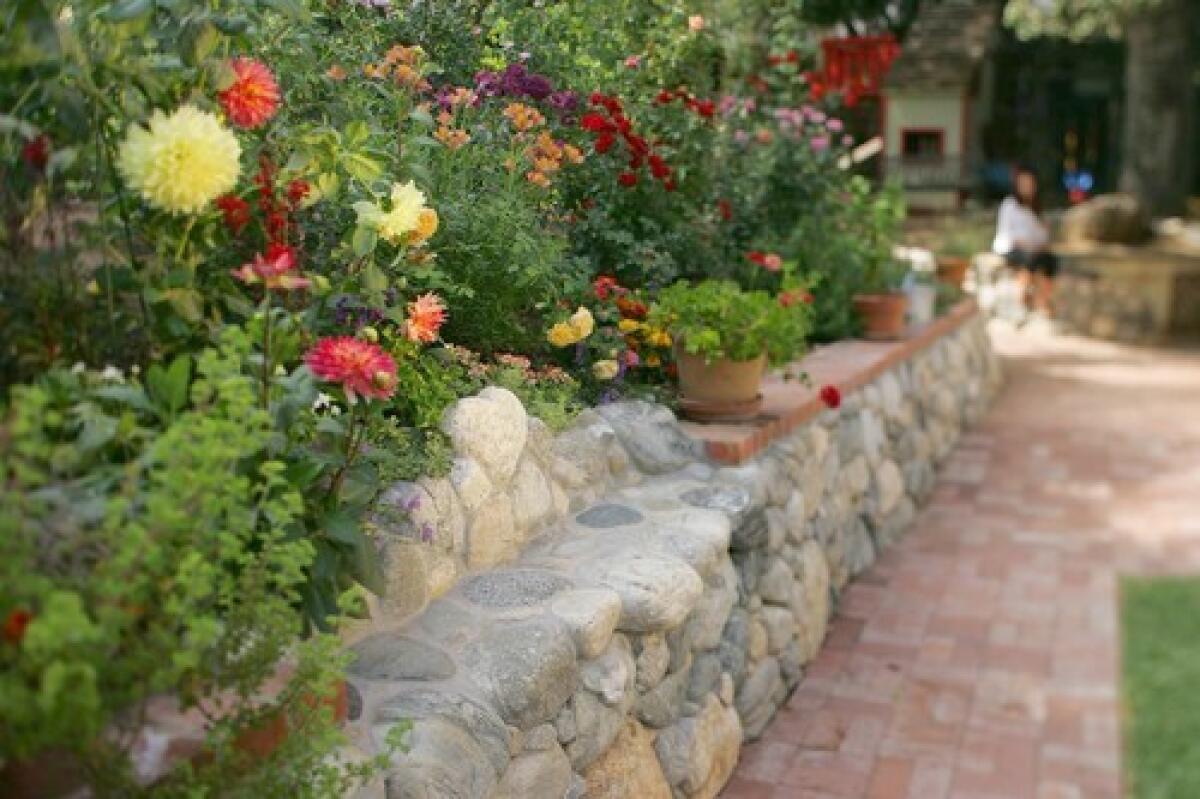 A heart-shaped stone captures one's attention along a stone wall adorned with a colorful garden, including roses, dahlias, verbena and lobelia in the backyard of the Ngo residence in Arcadia.