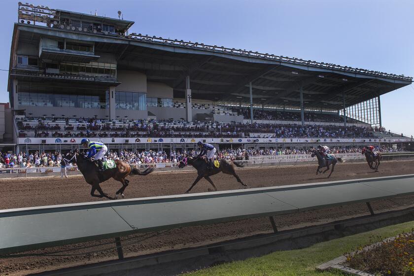 LOS ALAMITOS, CA - JULY 3, 2014: Thoroughbred horses cross the finish line in front of the grandstands.