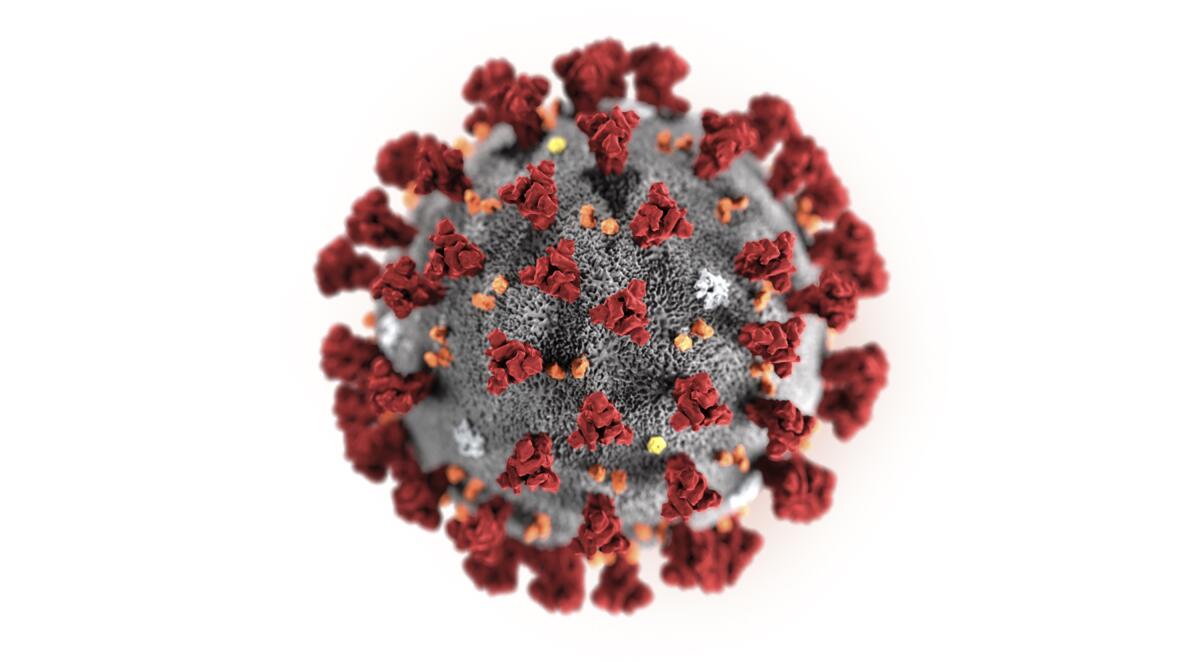 Una ilustración del nuevo coronavirus responsable del brote global de COVID-19.