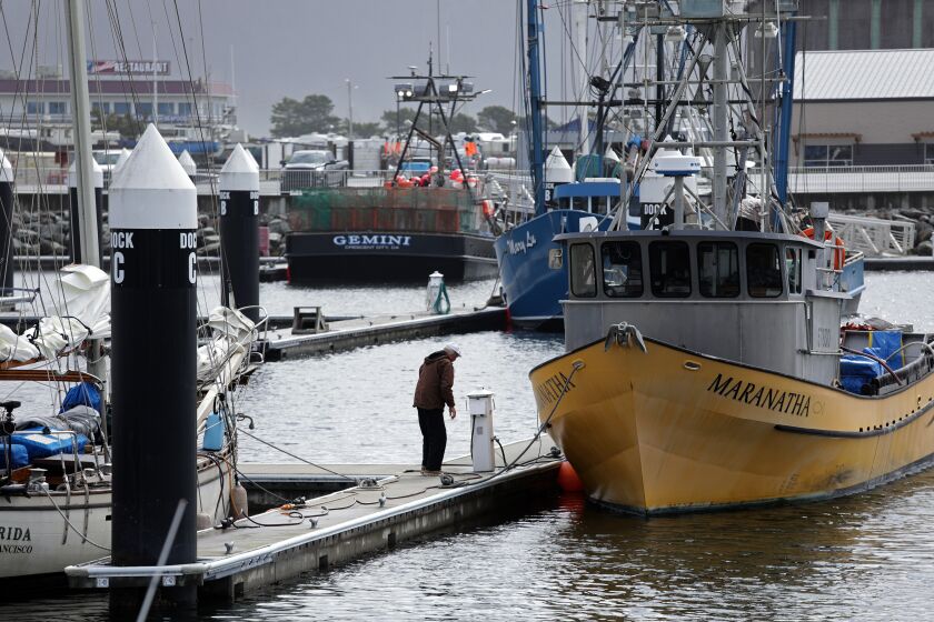 CRESCENT CITY, CA -- SEPTEMBER 18, 2019: The docks at Crescent Harbor were rebuilt in 2014 to be tsunami resistant following the destructive 2011 tsunami. The 10-year plan for the Crescent City Harbor District, one of few economic engines in rural Del Norte County, is grim. The isolated area has an aging population. It's hard to get there. There's nothing to do. It's threatened by sea level rise. On top of it all, there's the threat of tsunamis, which wiped out the harbor in 2011. Crescent City has tried to make the best of a frustrating situation. (Myung J. Chun / Los Angeles Times)