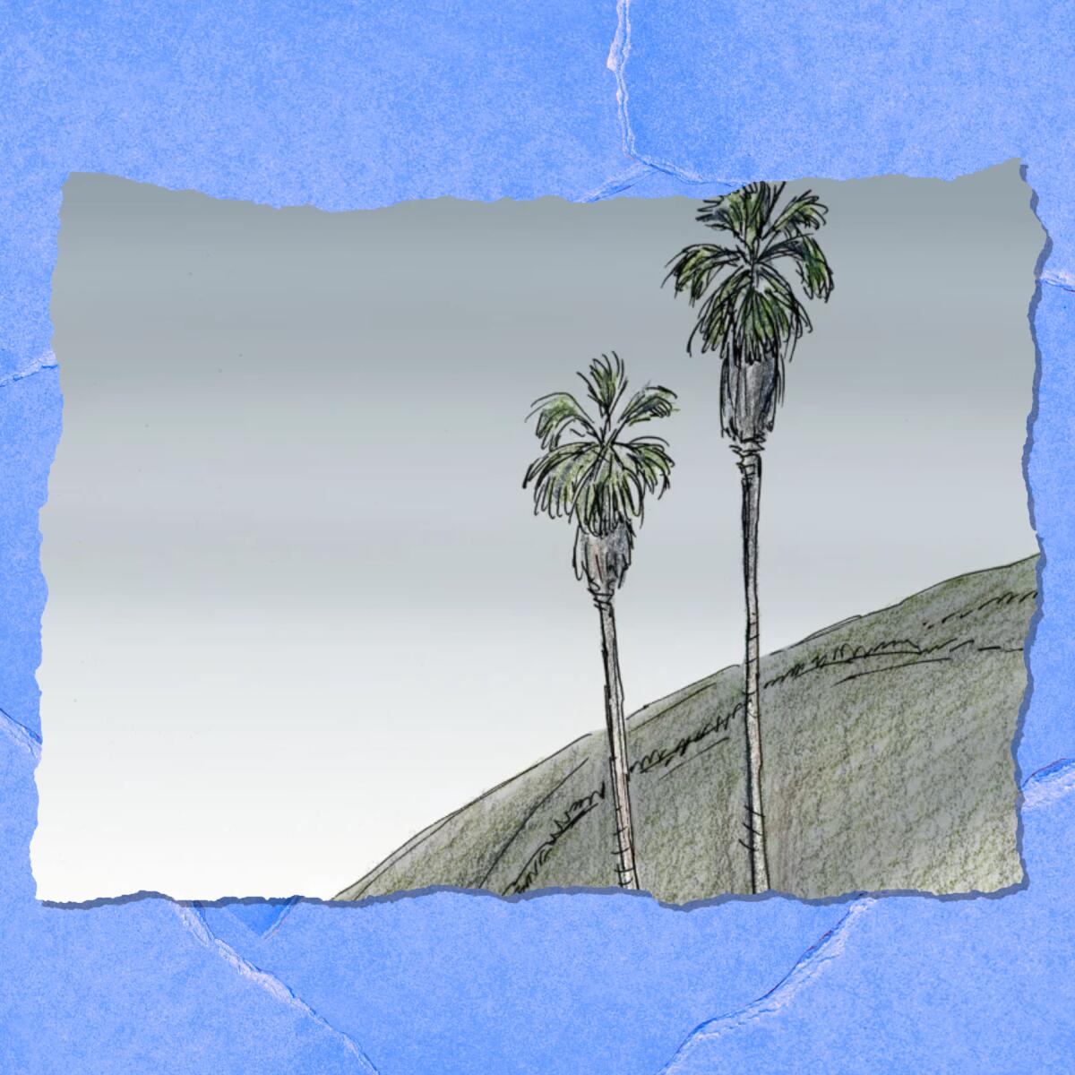 Illustration of two palm trees on an overcast sky background.