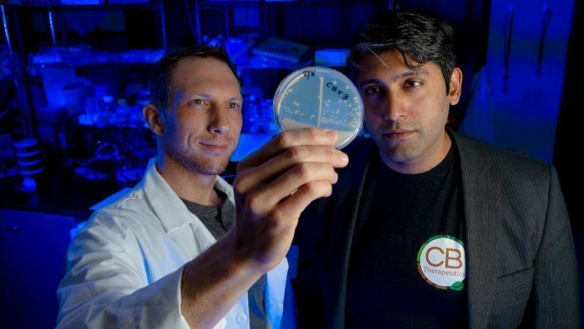 At their lab in Kearny Mesa, CB Therapeutics founders Jacob Vogan, Chief Scientific Officer (left) and Sher Ali Butt, CEO (right). The company has bio engineered yeast which produces cannabinoids using only sugar.
