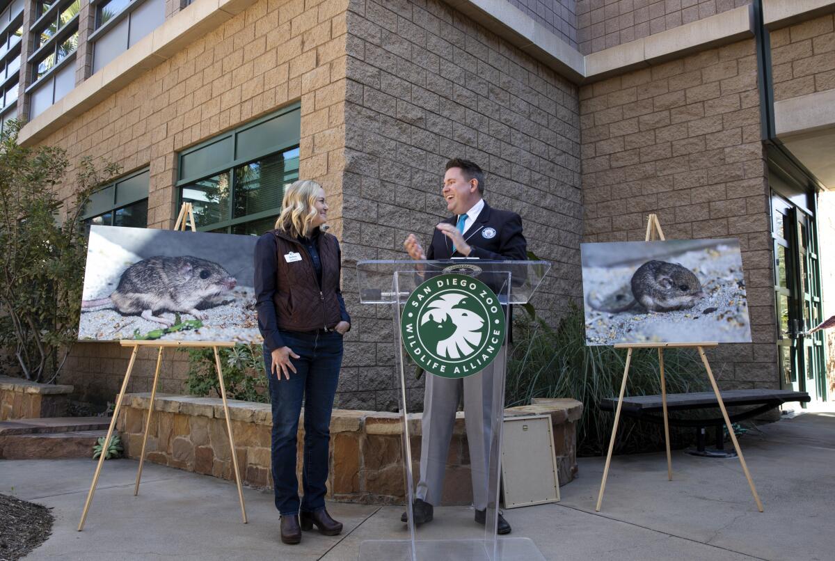 A woman and a man stand near a lectern between two large photos of a mouse