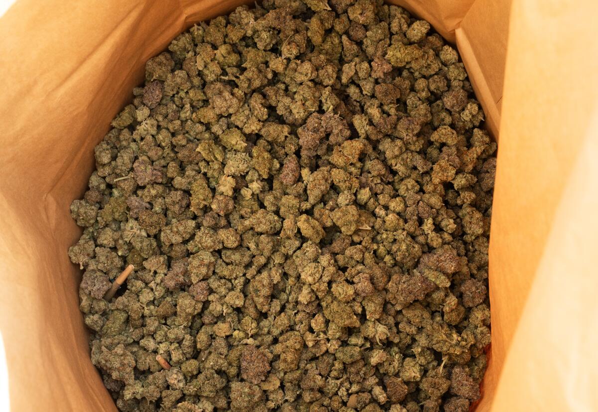 The inside of a paper bag holding countless nuggets of cannabis