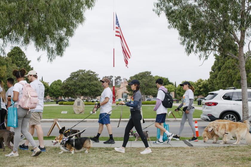 Walk for Animals participants go by Old Glory at NTC Park.