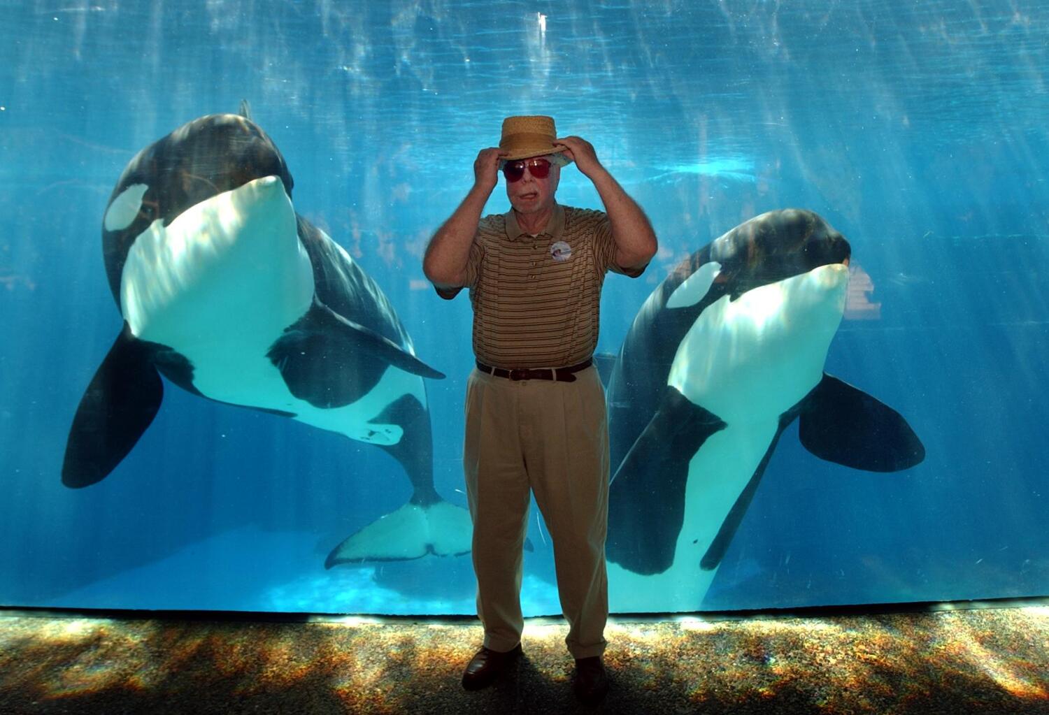 George Millay, one of the founders of SeaWorld, poses with killer whales, Corky and Orkid.