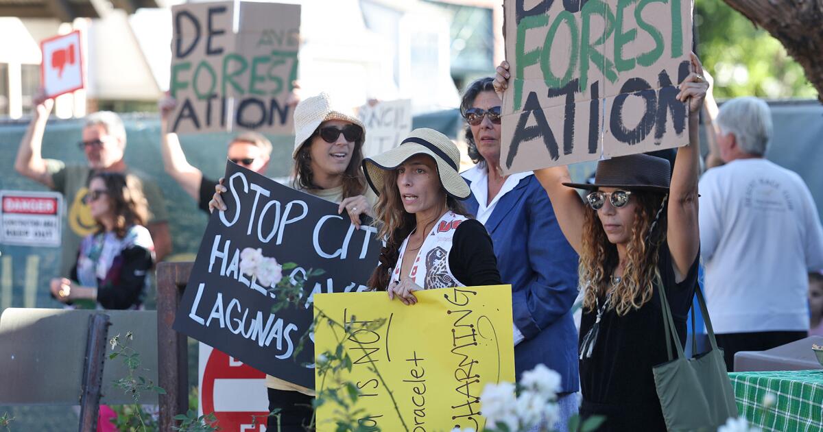 Letters to the Editor: Protests against the felling of trees in Laguna Beach are unreasonable