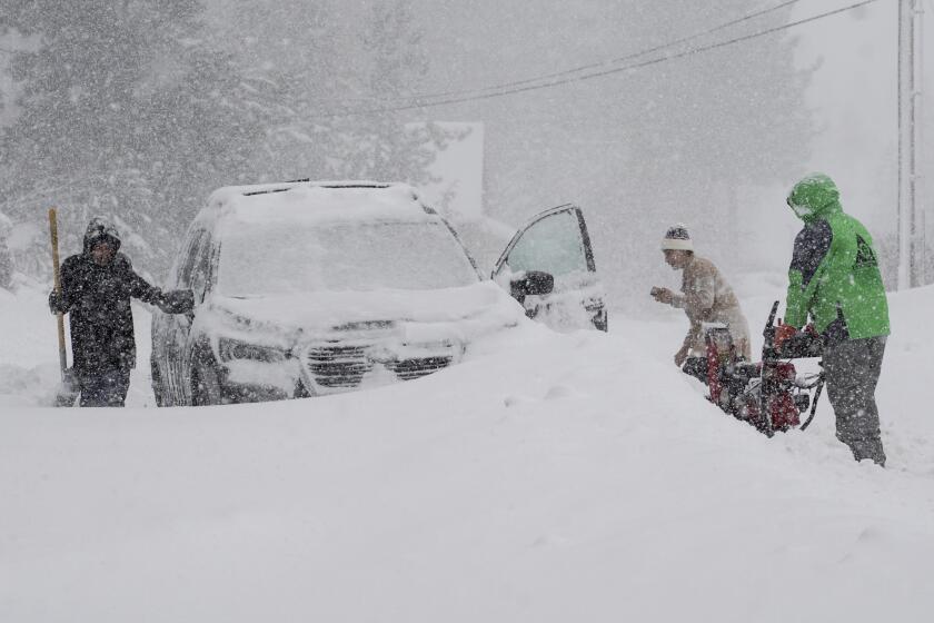 Un grupo de personas trata de retirar la nieve en medio de una tormenta, el sábado 2 de marzo de 2024, en Truckee, California. (AP Foto/Brooke Hess-Homeier)