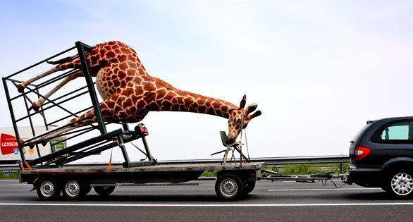 Monday: The Day In Photos, giraffe statue