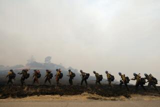 Members of the Arrowhead Hot Shot crew work to build a fire line as they continue to fight the Lake Fire, in Santa Barbara County, California on July 7, 2024. The fire, which began late July 5 near Zaca Lake, has spread to over 13,000 acres (5,260 hectares) over the weekend in Santa Barbara County, prompting evacuation warnings, according to county officials. (Photo by Daniel Dreifuss / AFP) (Photo by DANIEL DREIFUSS/AFP via Getty Images)