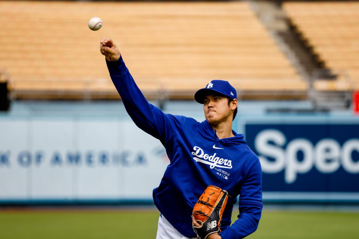 Shohei Ohtani 