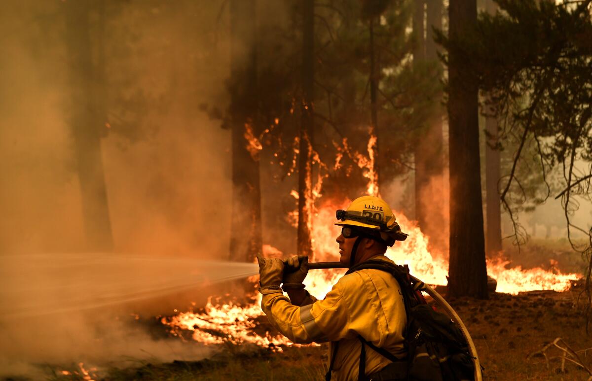 A firefighter sprays water on flaming trees
