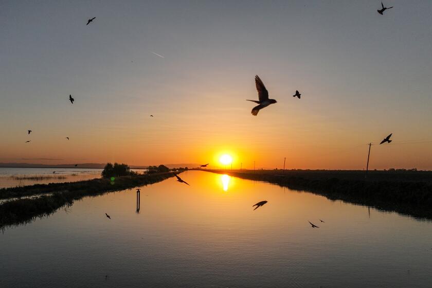 Stratford, CA, Thursday, May 11, 2023 - Sunset over the Tulare Lake canal. Farmers fear the canal is inadequately built to hold off the inevitable surge of snowmelt charging the King's River. (Robert Gauthier/Los Angeles Times)