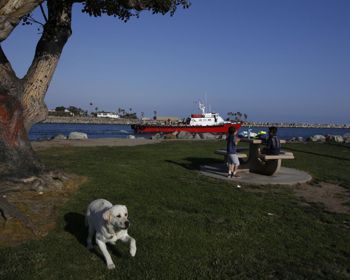 Take a walk in Long Beach